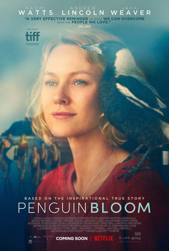 penguinbloom