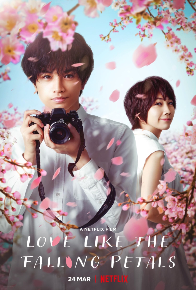 Love Like the Falling Petals ใบไม้ผลิที่ไม่มีเธอเป็นซากุระ (2022)