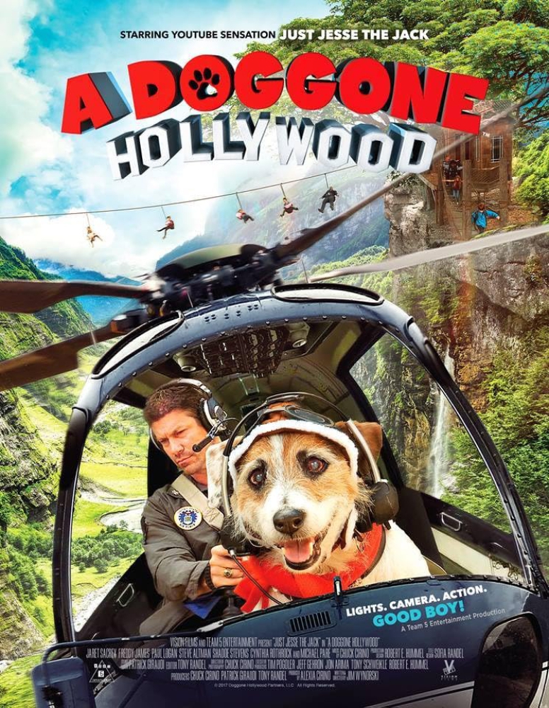 A Doggone Hollywood หมาในฮอลลีวู้ด