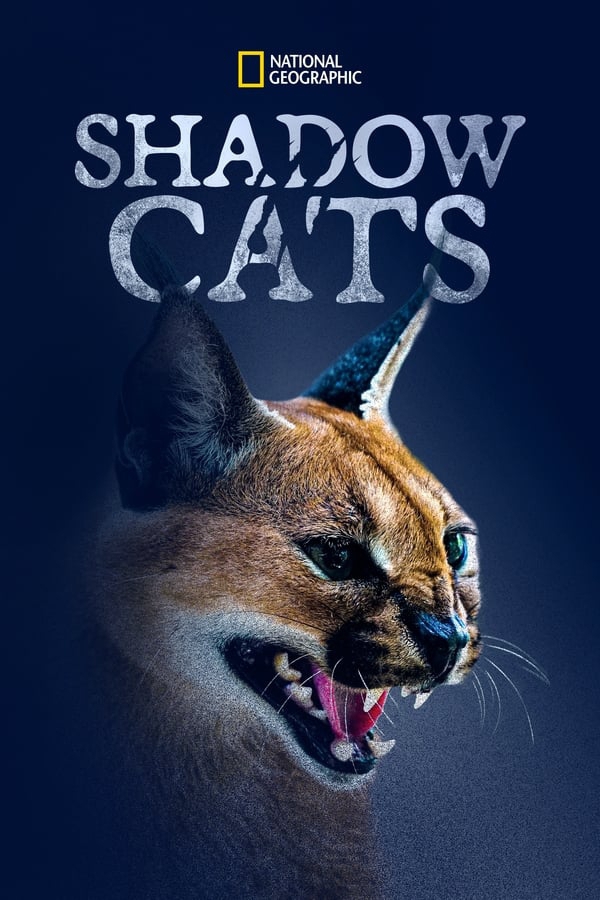 shadowcats2022