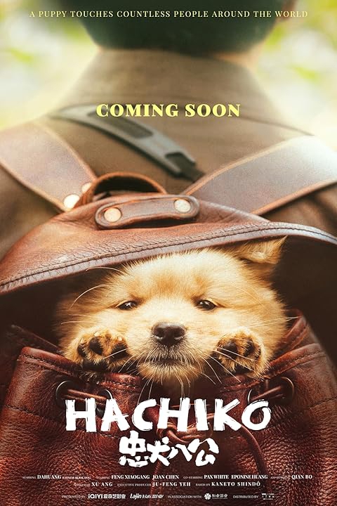 hachiko2023