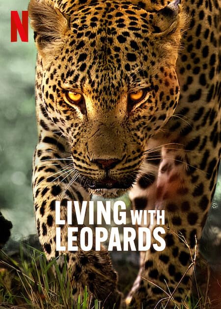 Living with Leopards อยู่กับเสือดาว