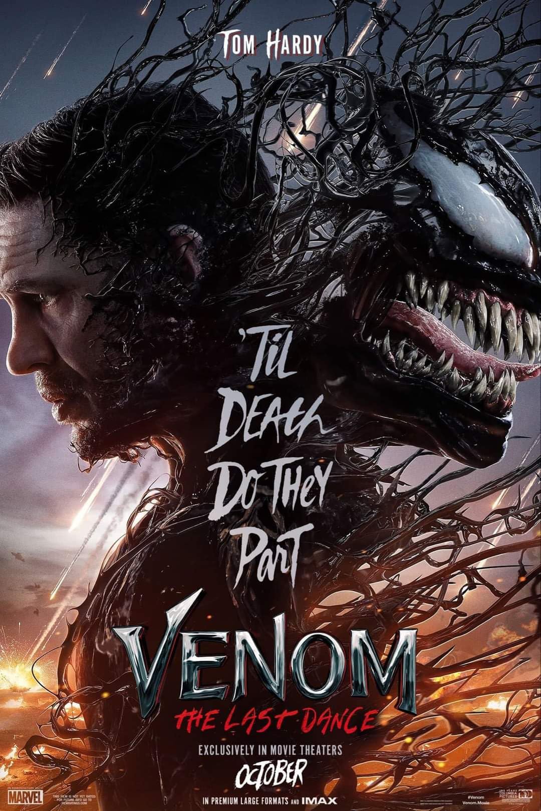 VenomTheLastDance2024