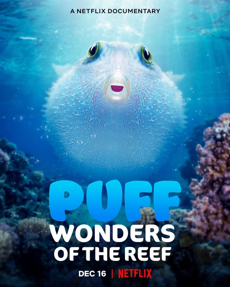 Puff- Wonders of the Reef พัฟฟ์ มหัศจรรย์แห่งปะการัง