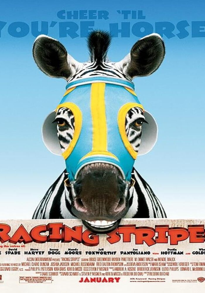 racingstripeser