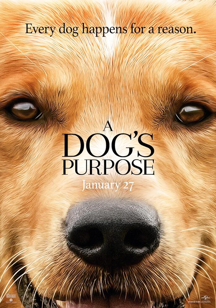 A Dogs Purpose หมา เป้าหมาย และเด็กชายของผม